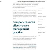 The Case Management Process